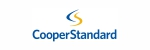 cooper_standard klient warsztaty