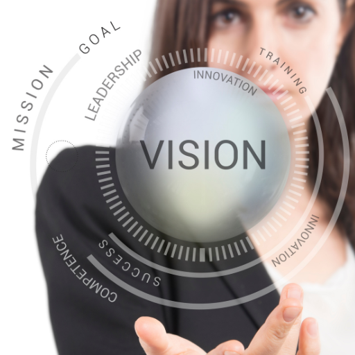 Misja, wizja, cele, strategia i wartości organizacji